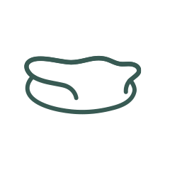 Illustration of a green outline resembling a simplified dog's face or mask, drawn in a minimalistic style.