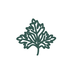 Green decorative leaf icon on white background